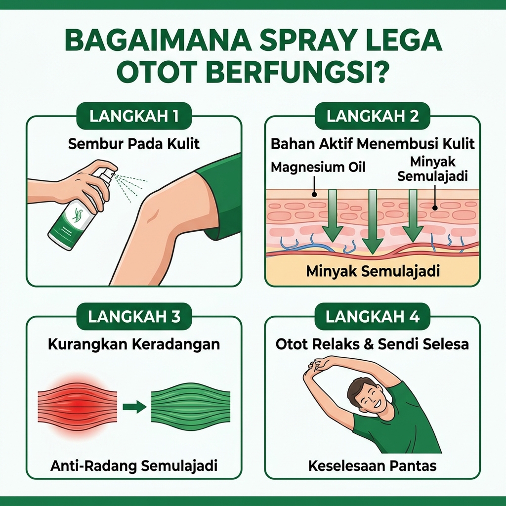 Bagaimana AuraFlexx berfungsi